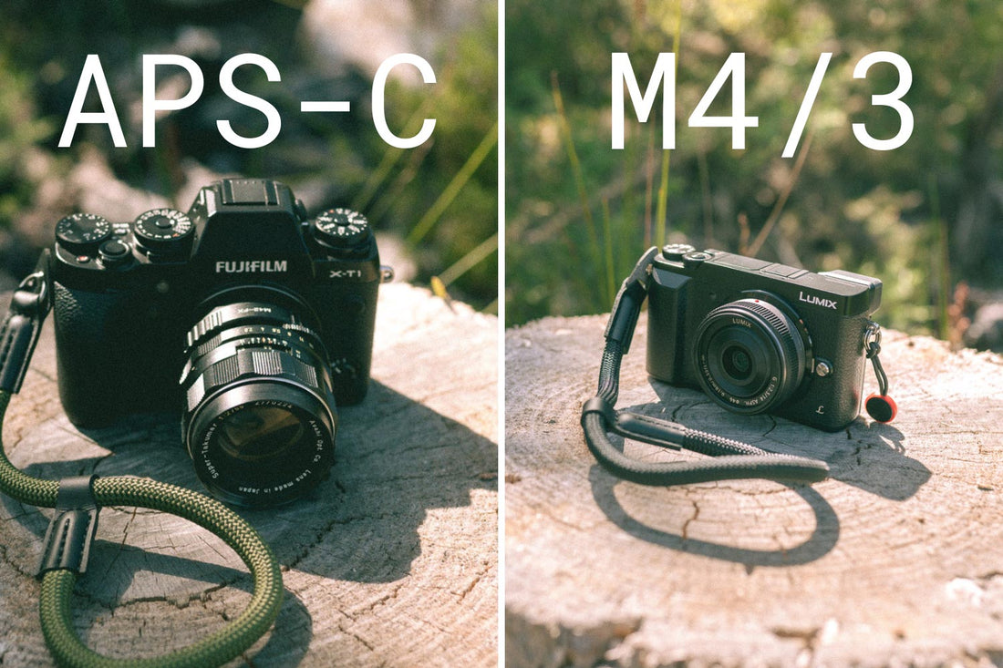 Micro 4/3s, APS-C, Full Frame or Medium Format: Which Sensor is For You?